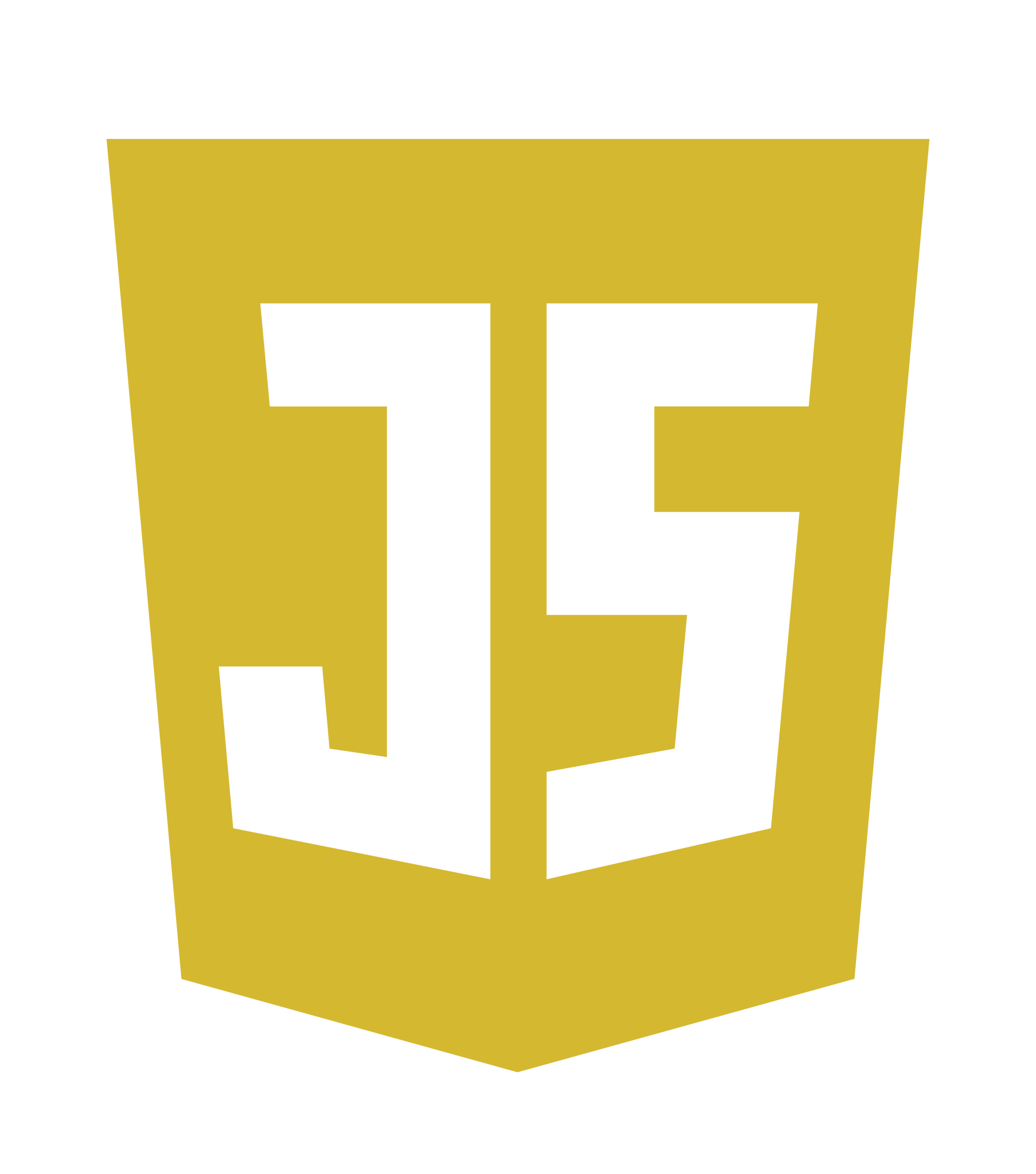 JavaScript